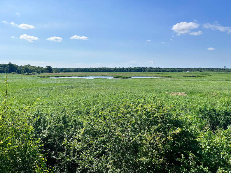 24-06-29 10-16-39 0004